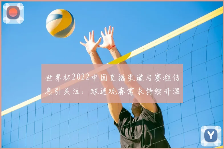 世界杯2022中国直播渠道与赛程信息引关注，球迷观赛需求持续升温