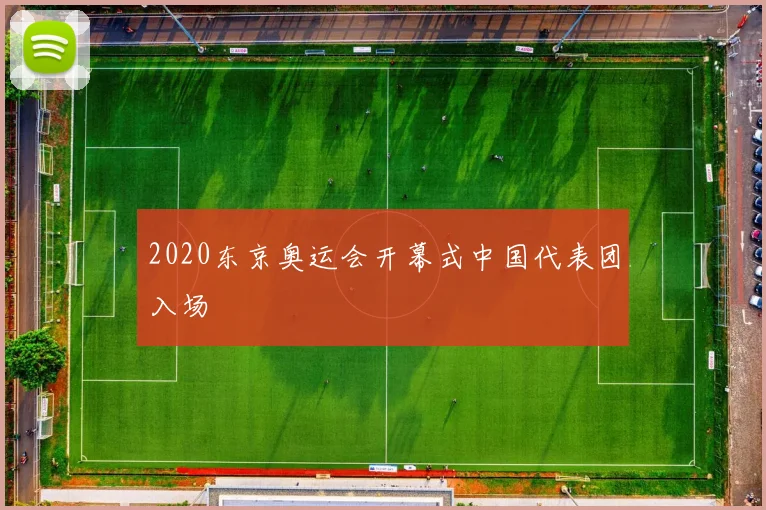 2020东京奥运会开幕式中国代表团入场